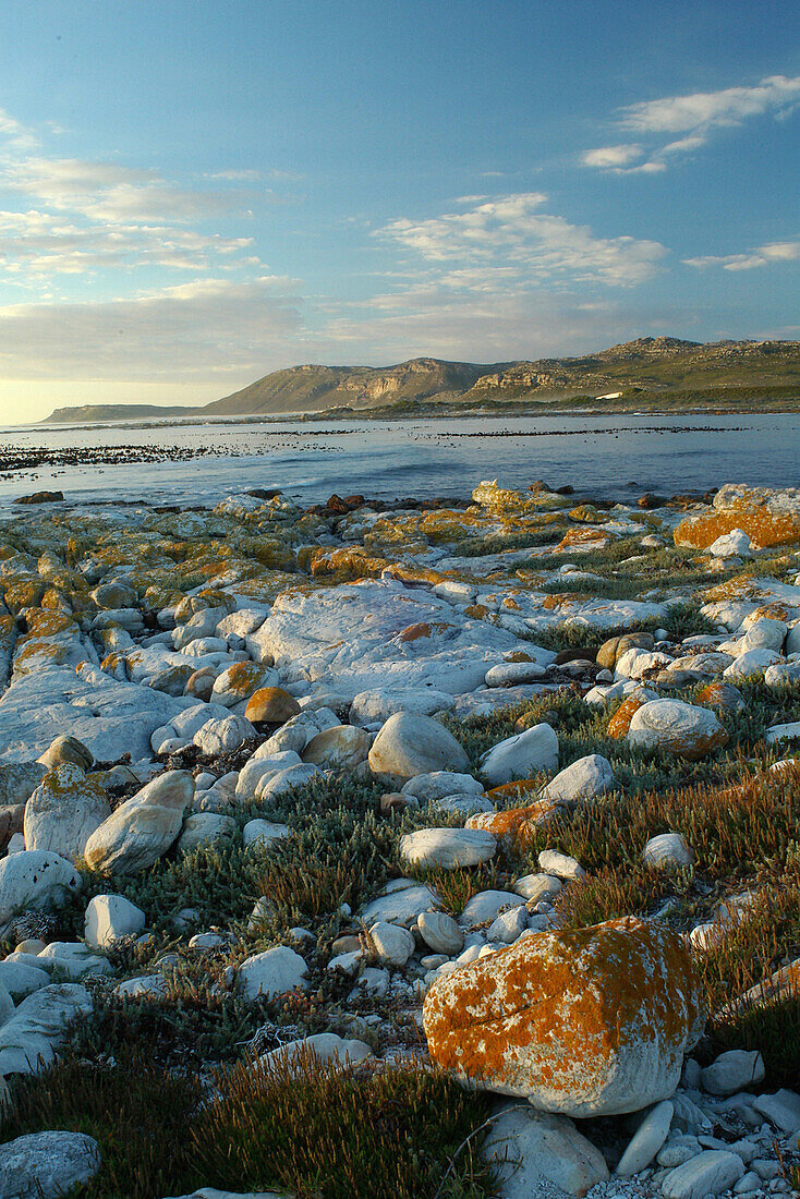 Beach scene, Cape Point National Park, Western Cape, South Africa