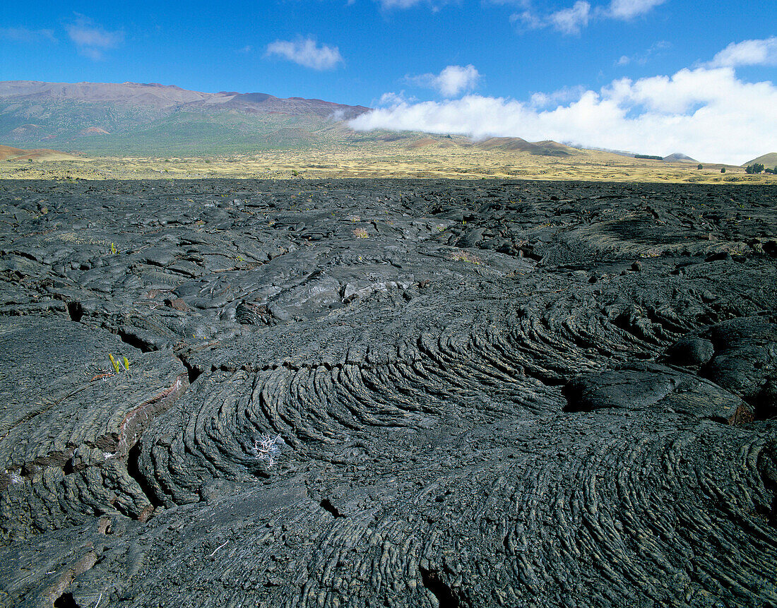 Lava Fields, Hawaii Island, Hawaii, Usa