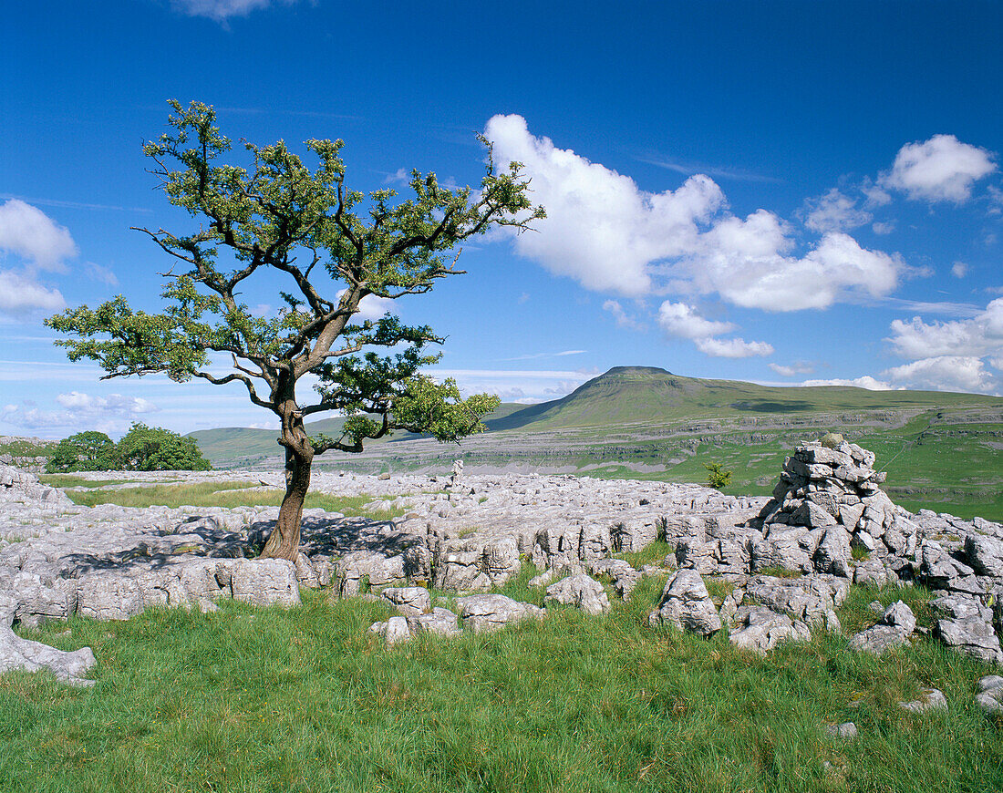 Rural Landscape, Ingleborough, Yorkshire, UK, England