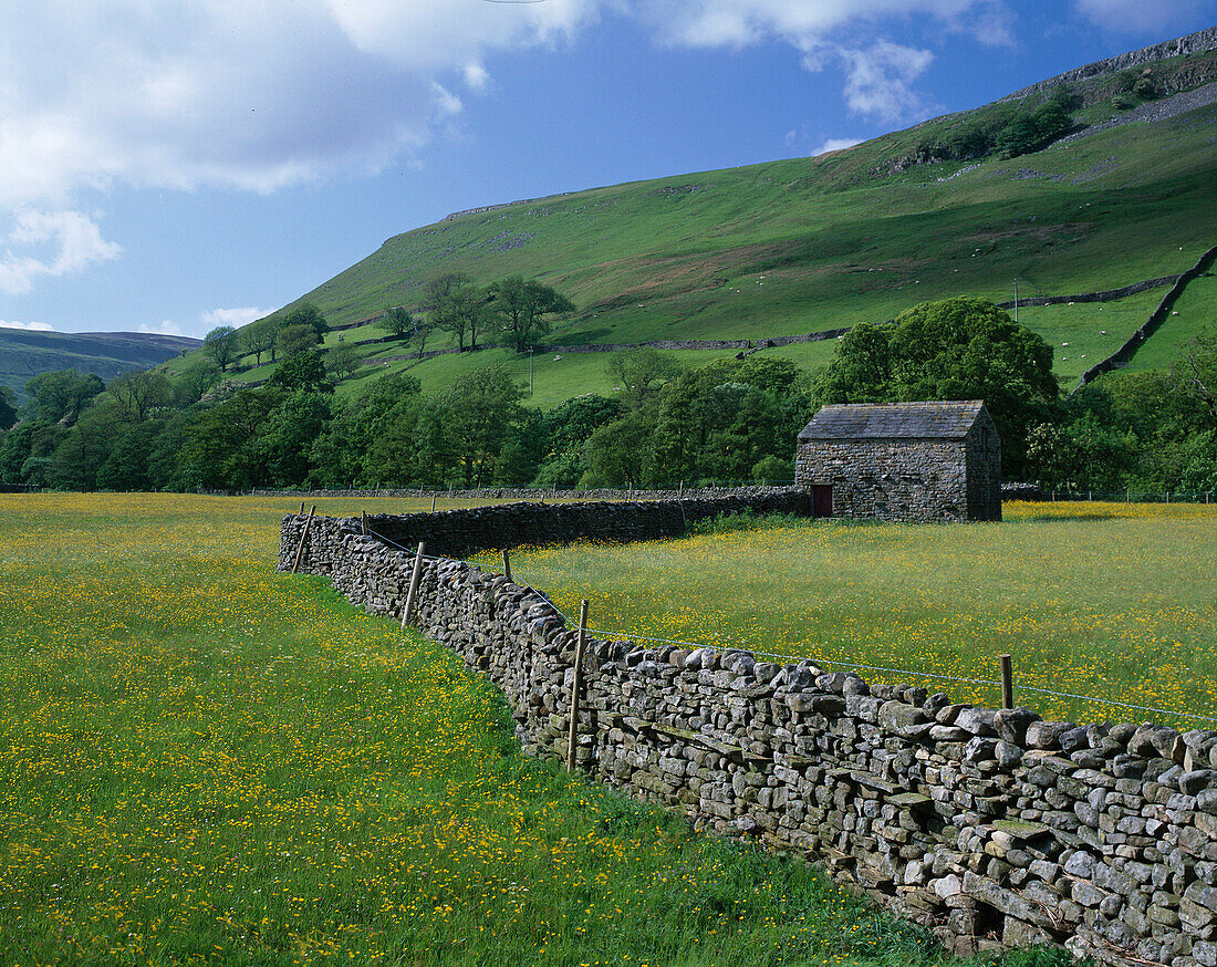 Dales Landscape, Swaledale, Yorkshire, UK, England