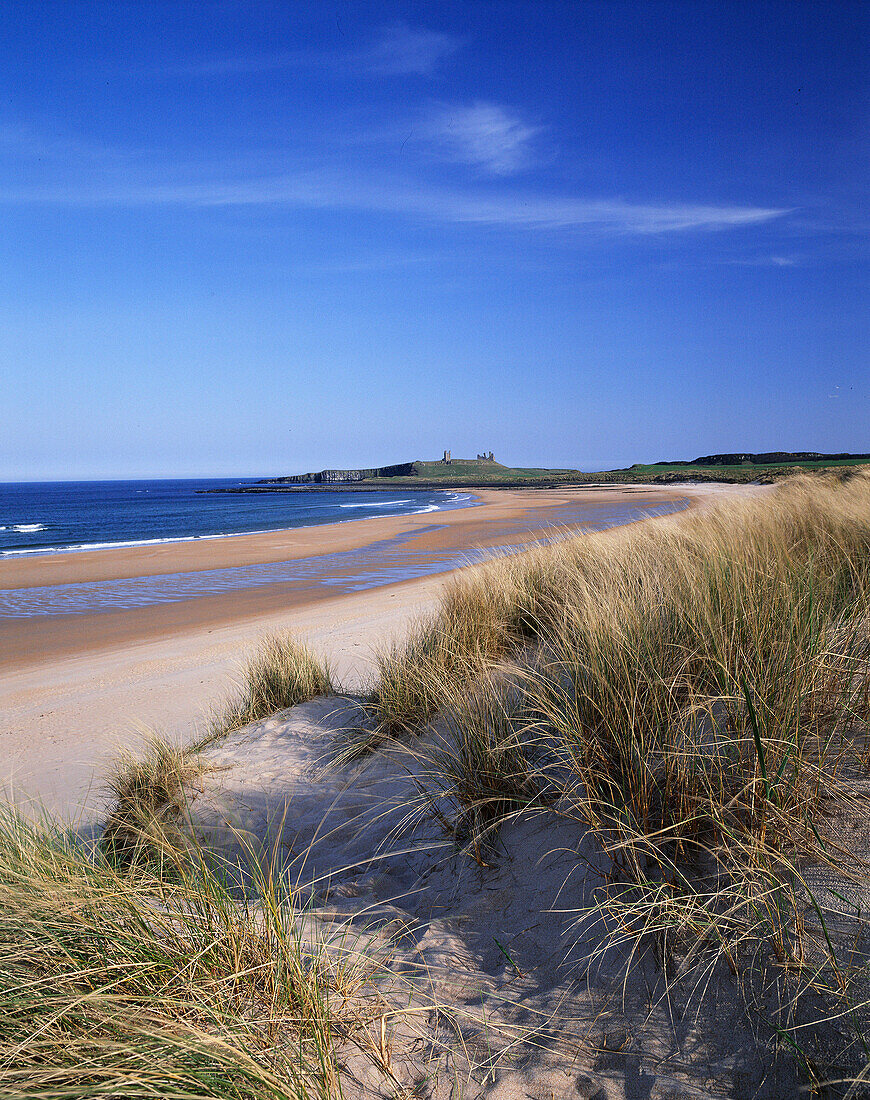 Dunstanburgh Castle (in Distance), Embleton, Northumberland, UK, England