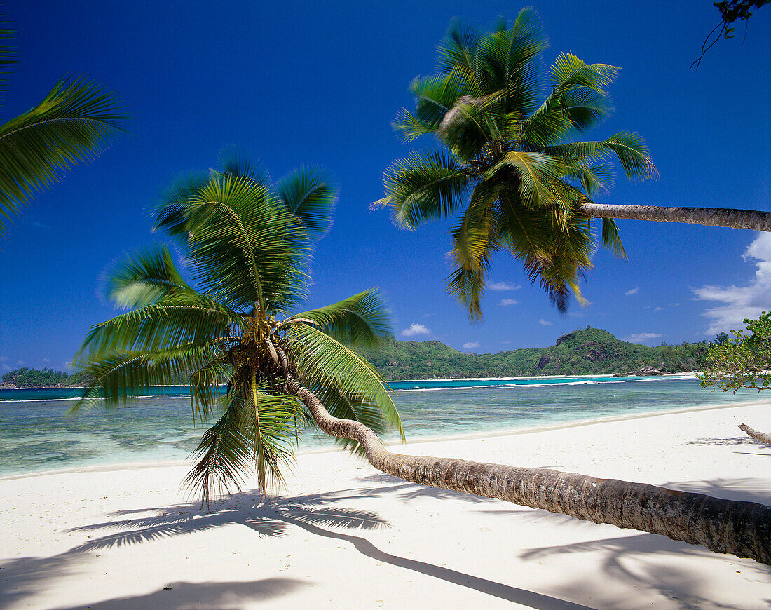Beach Scene, Anse Gaulettes, Mahe, Seychelles