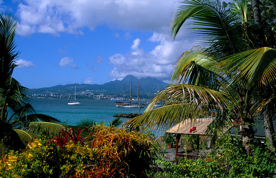 View of Bay, Trois-elets, Martinique, Caribbean