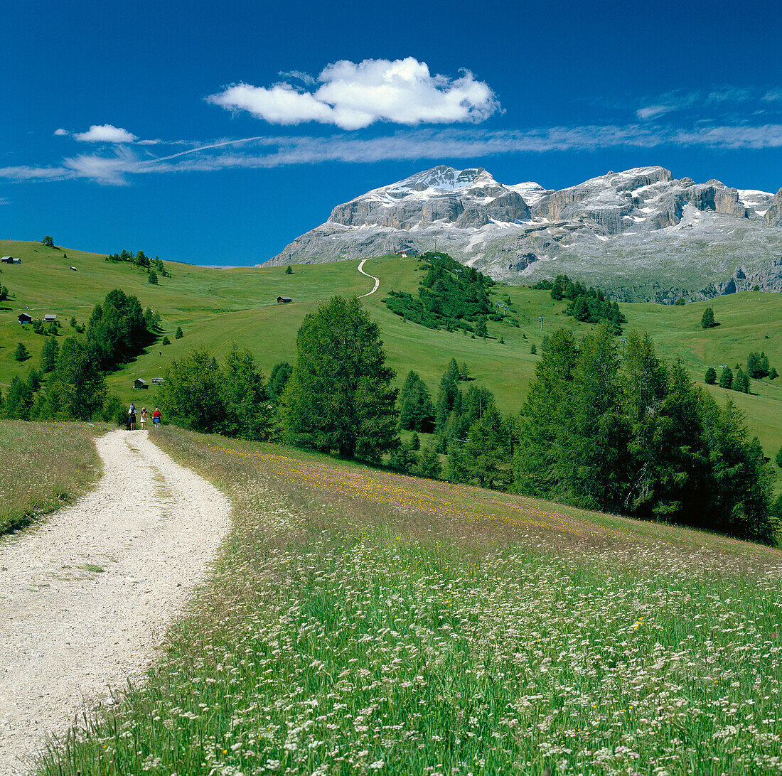 Pralongia with Gruppo Di Sella & Walkers, General Landscape, Trentino-Alto Adige, Italy