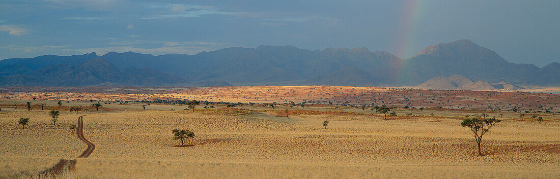 Landscape with Rainbow, General Desert, Namib Rand, Namibia