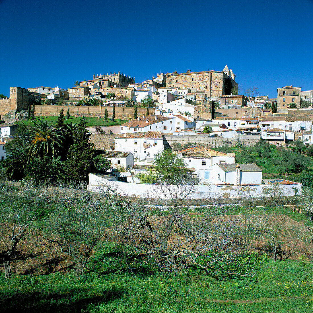 View to Town, Caceres, Extremadura, Spain
