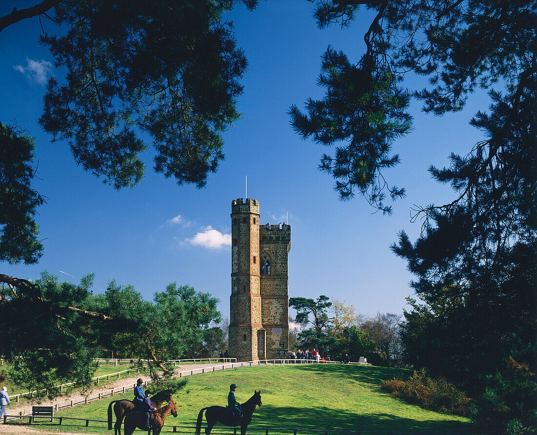 Leith Hill Tower, Leith Hill, Surrey, UK, England