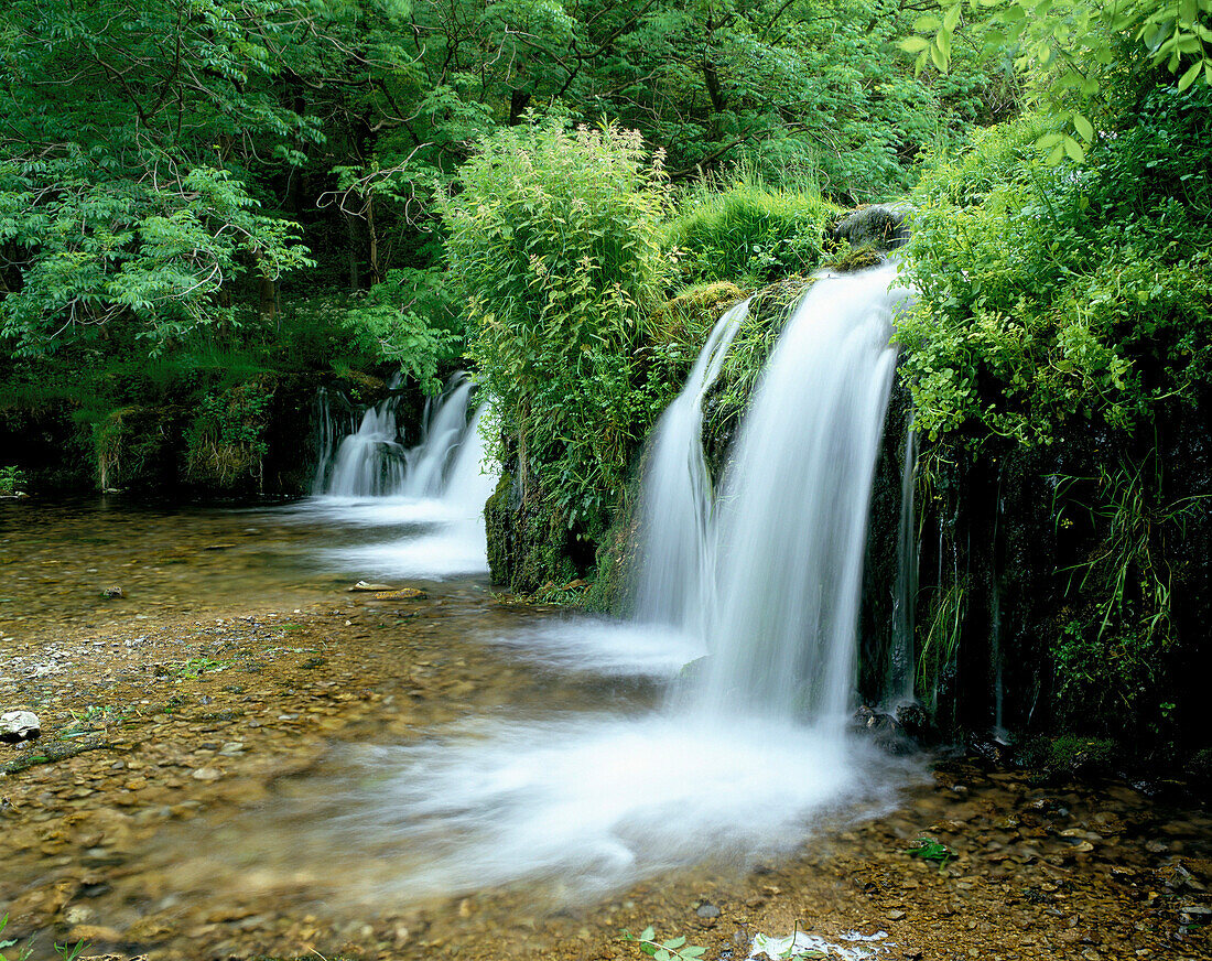 Waterfall, Lathkill Dale, Derbyshire, UK, England