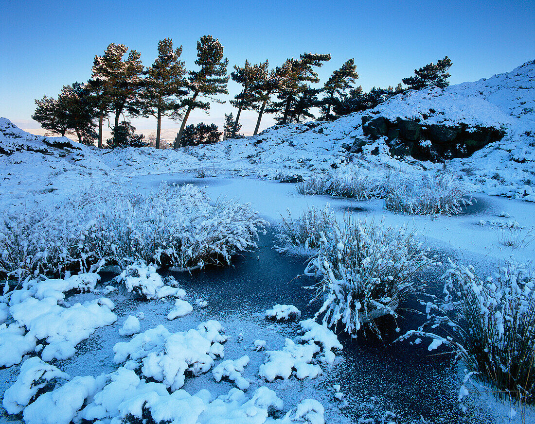 Winter Scene, Ilkley Moor, Yorkshire, UK, England