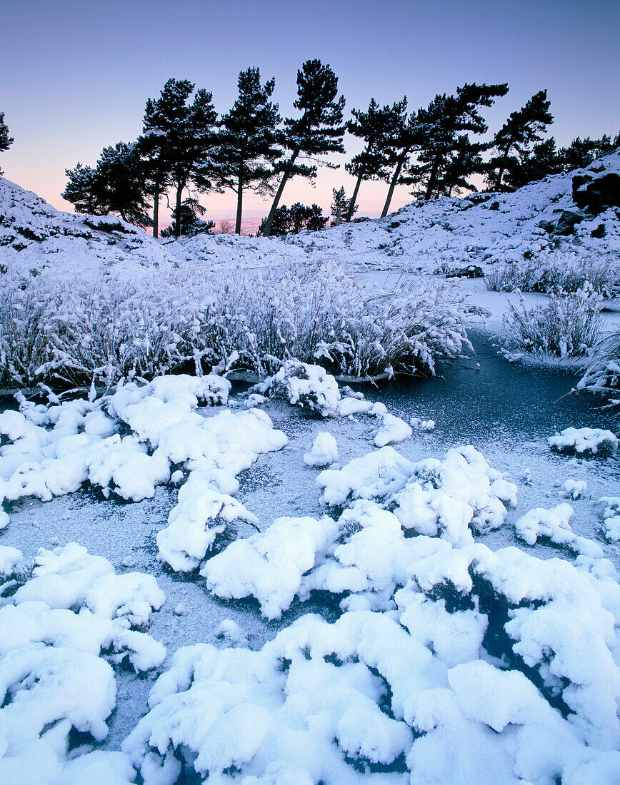 Winter Scene, Ilkley Moor, Yorkshire, UK, England