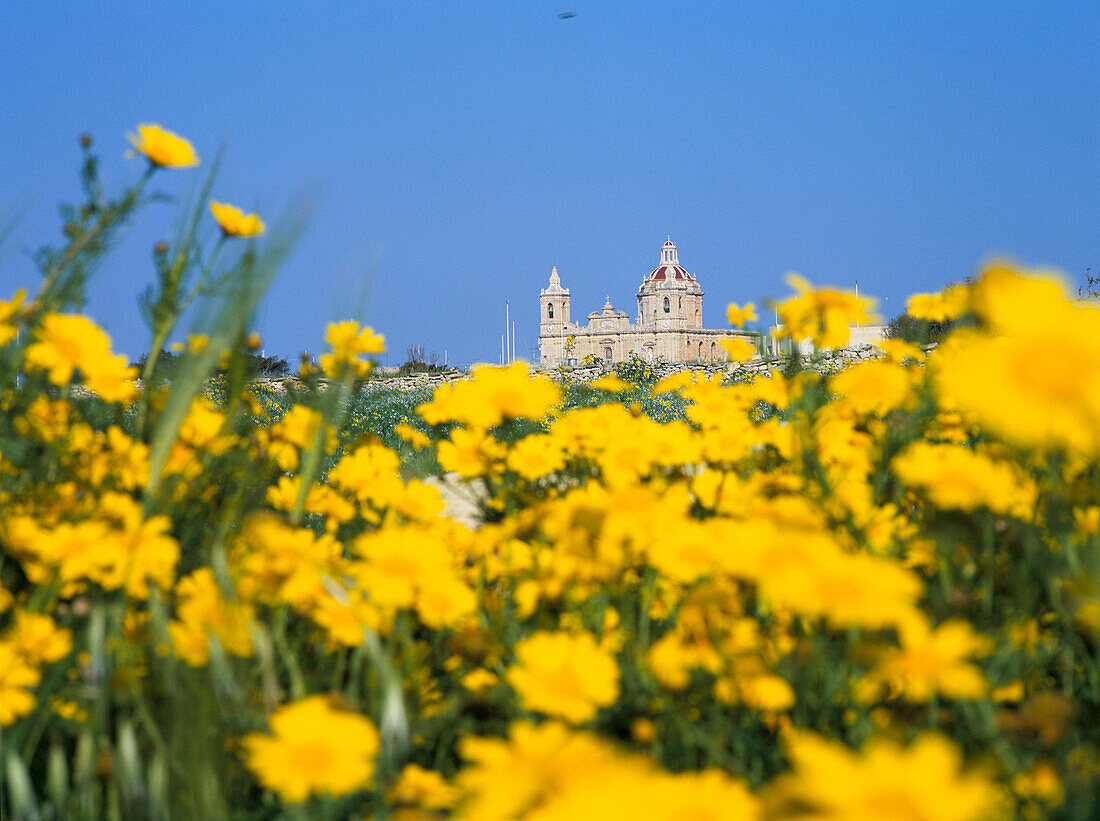 View to Cathedral, Zejtun, Malta, Maltese Islands