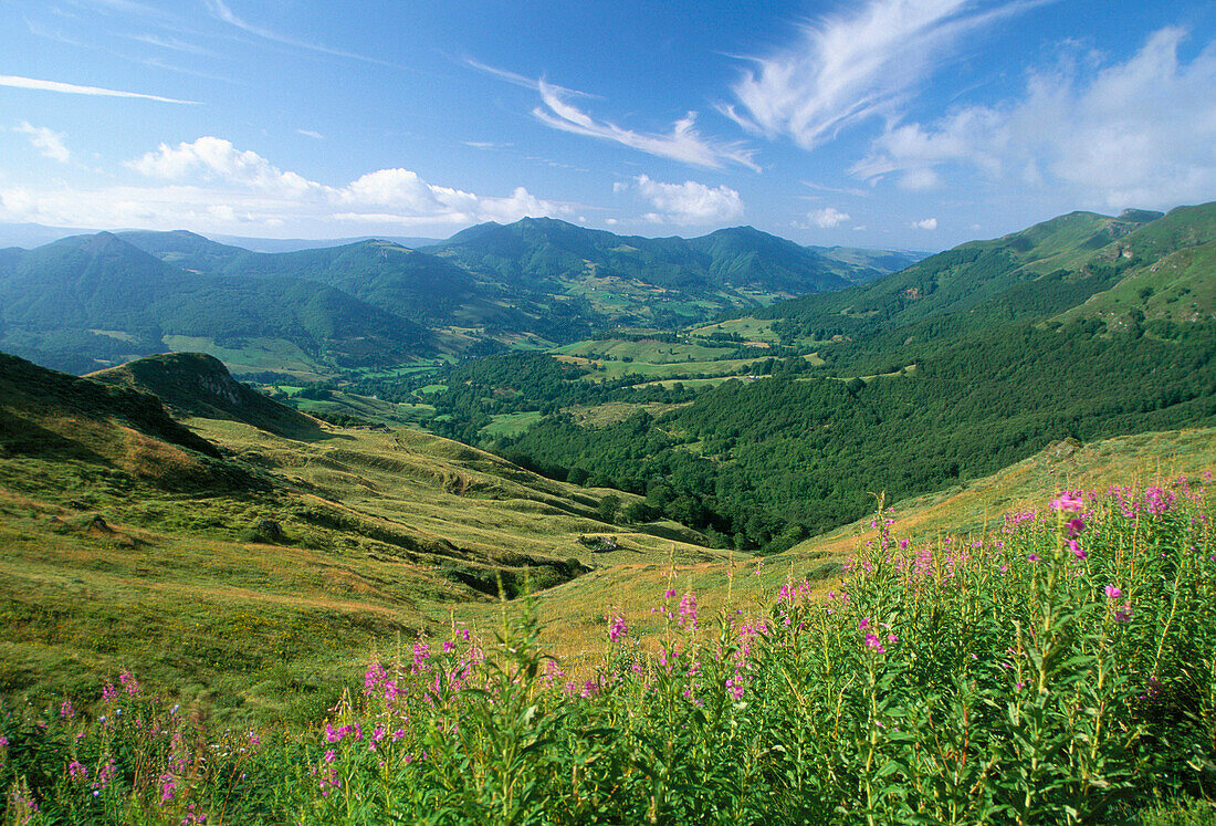 View of Vallee De Mandailles, Monts Du Cantale, Auvergne, France