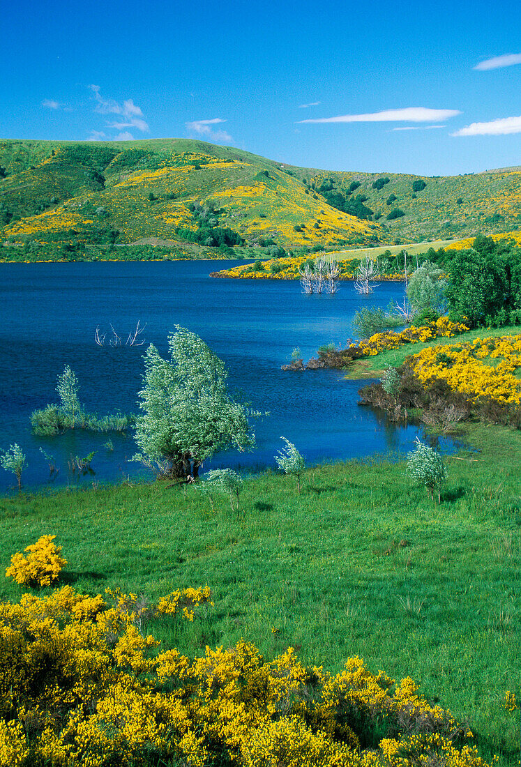 Landscape View, Lago Di Compotosto, Abruzzo, Italy