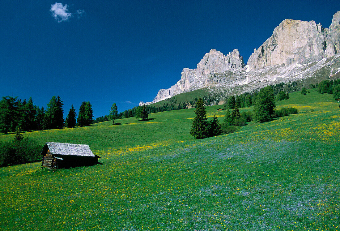 Catinaccio Range, Dolomites, Passo Nigra, Trentino-Alto Adige, Italy
