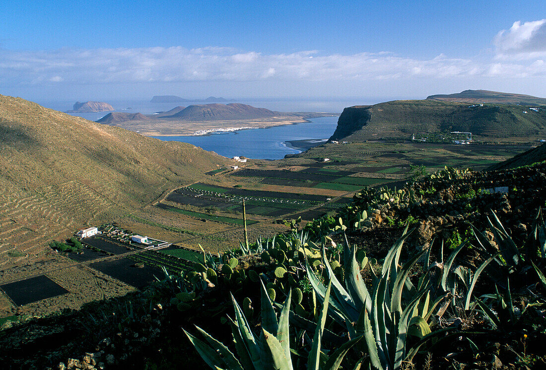Landscape, Guinate, Lanzarote, Canary Islands
