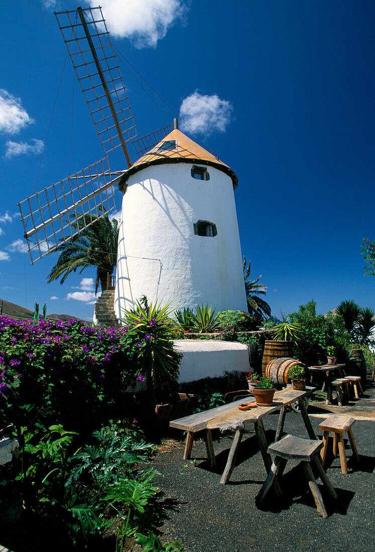 Windmill & Museum of Agriculture, Tiagua, Lanzarote, Canary Islands