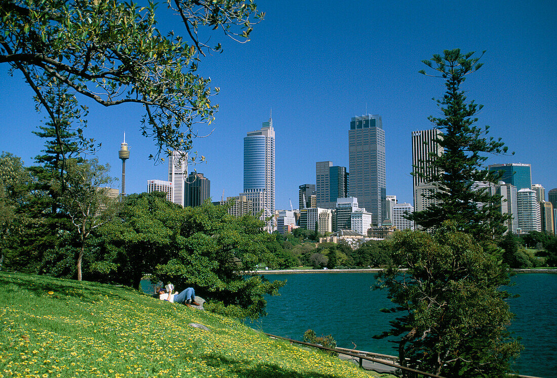 Cbd, from the Domain, Sydney, New South Wales, Australia