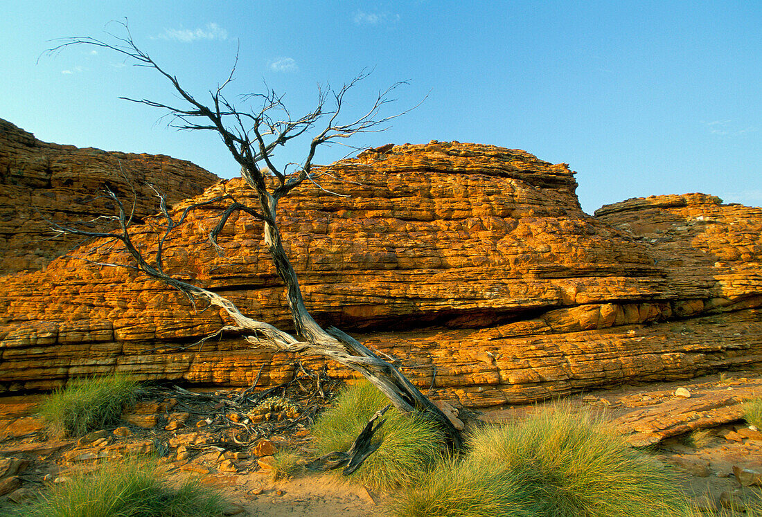 Kings Canyon, Watarrka National Park, Northern Territory, Australia