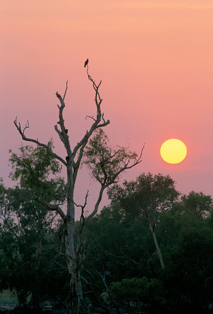 North Rockhole at Sunrise, Mary River Wetlands, Northern Territory, Australia