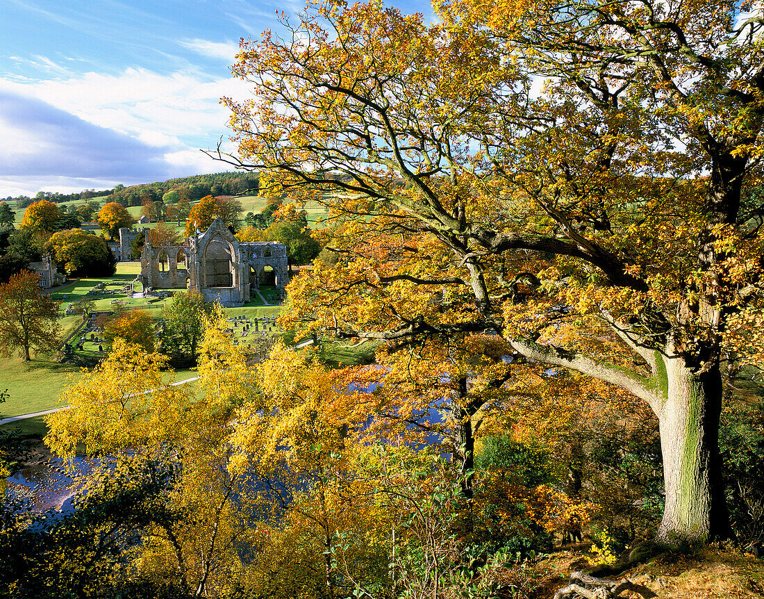 View of Bolton Abbey in Autumn, Wharfedale, Yorkshire, UK, England