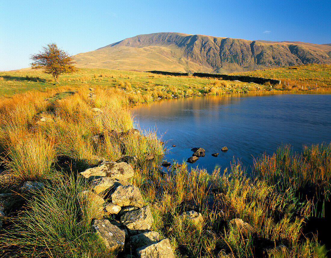 Autumnal Lake Scene, Tewet Tarn & High Rigg, Cumbria, UK, England