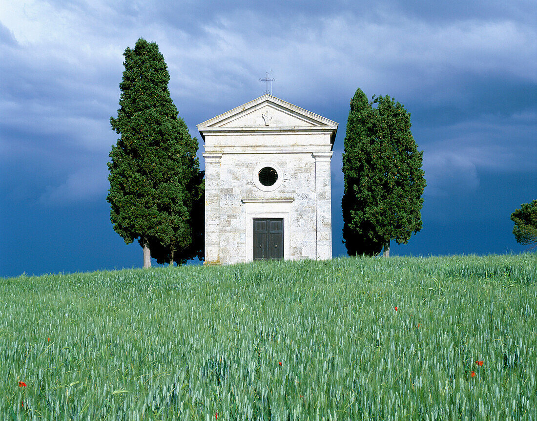 Capela Di Vitaleta, San Quirico D'orcia (Nr), Tuscany, Italy