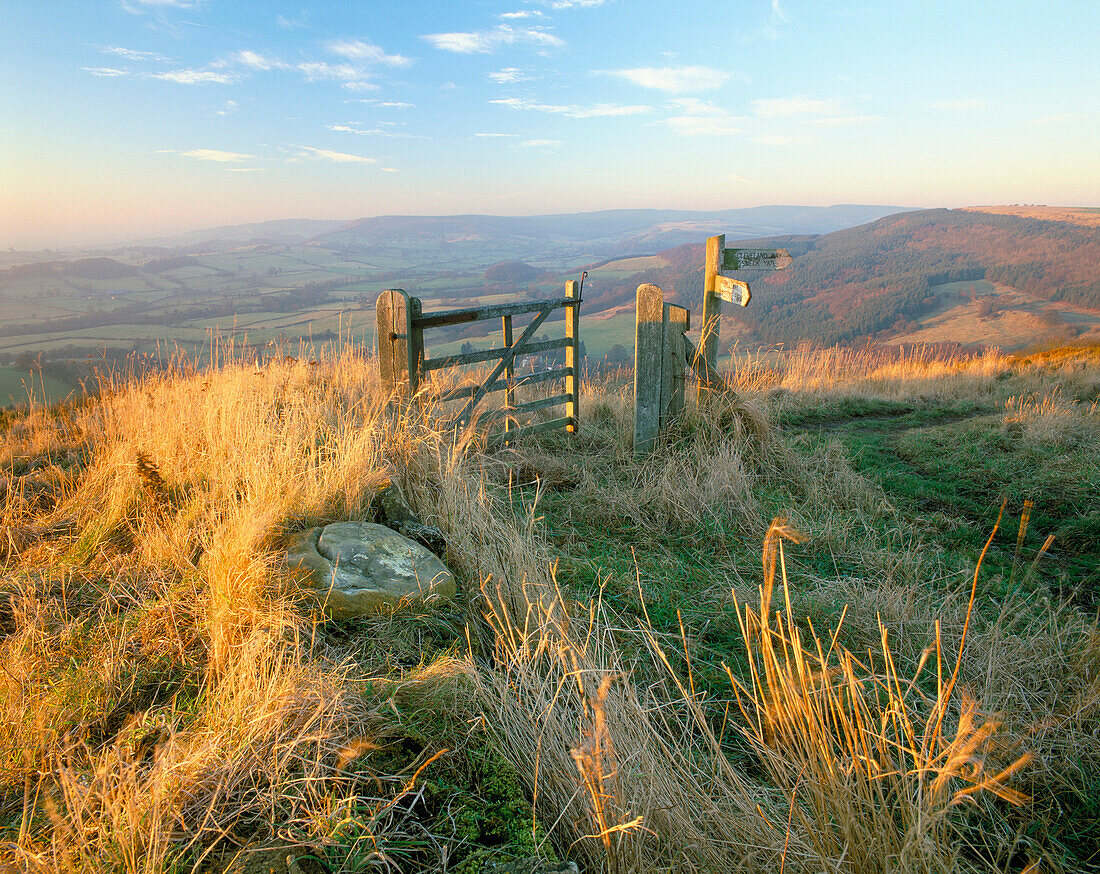 RURAL SCENERY ALONG CLEVELAND WAY, AUTUMN, SUTTON BANK, NR THIRSK, Yorkshire, UK, England