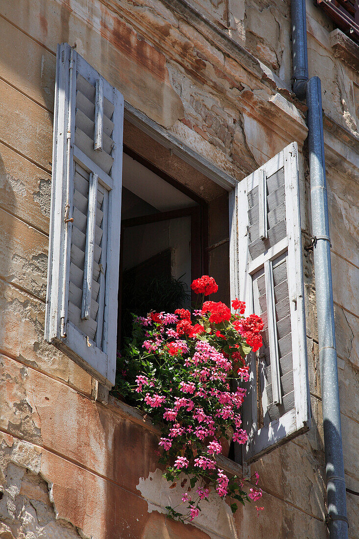 Typical window, Rovinj, Istria, Croatia