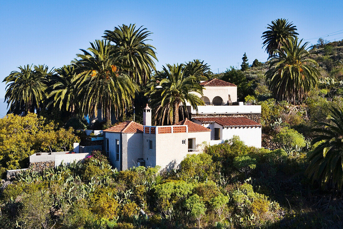 Hacienda with palm trees, West Coast, La Palma, Canary Islands