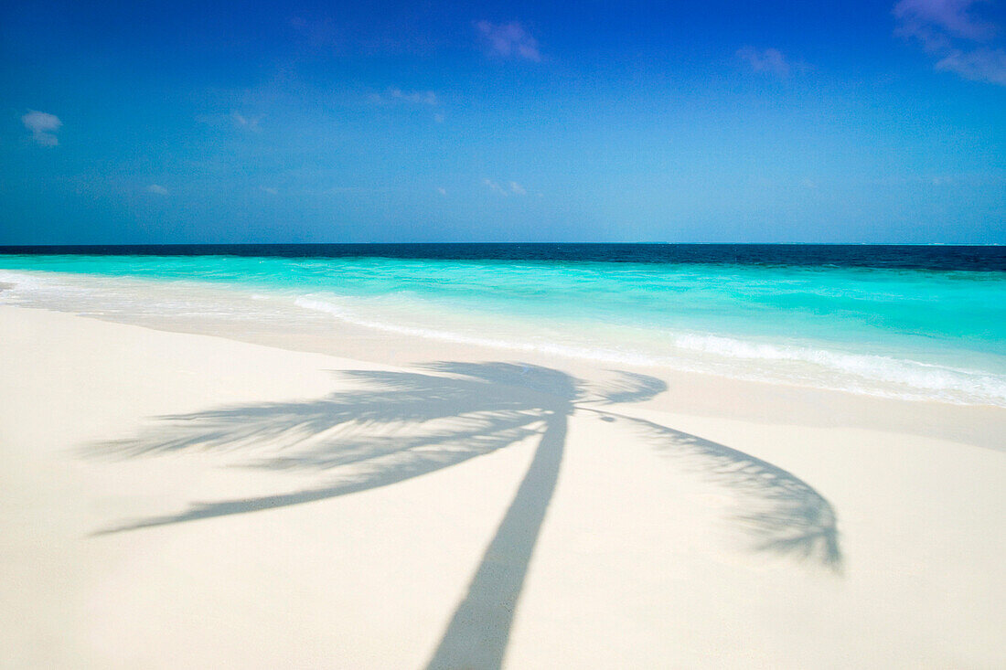 Palm tree shadow on beach, General, The Maldives