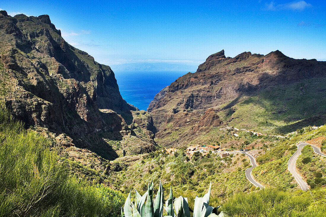 View down gorge to the sea, Los Gigantes, Tenerife, Canary Islands