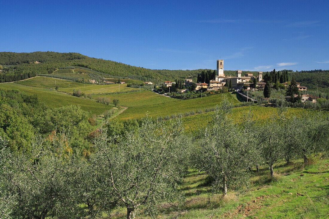 View over olive grove to village, Badia a Passignano, Tuscany, Italy