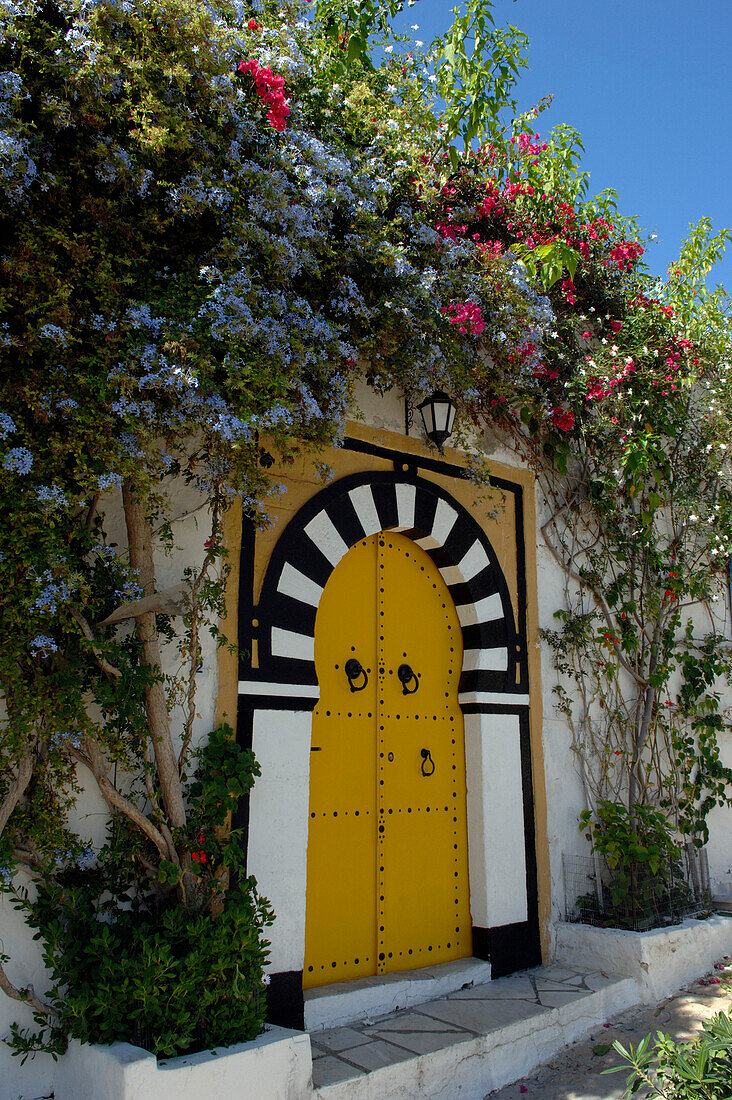 Colourful doorway, Sidi Bou Said, Tunis, Tunisia