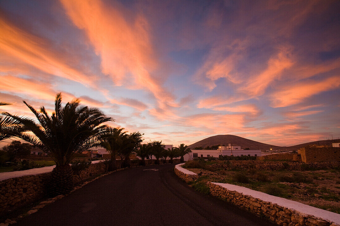 Village street with palm trees at sunrise, Tuineje, Fuerteventura, Canary Islands, Spain, Europe