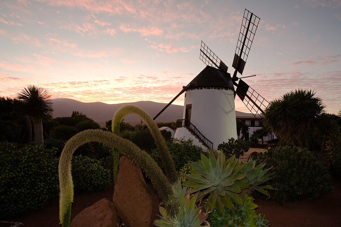 Die Windmühle Molino de Antigua in der Abenddämmerung, Antigua, Fuerteventura, Kanarische Inseln, Spanien, Europa