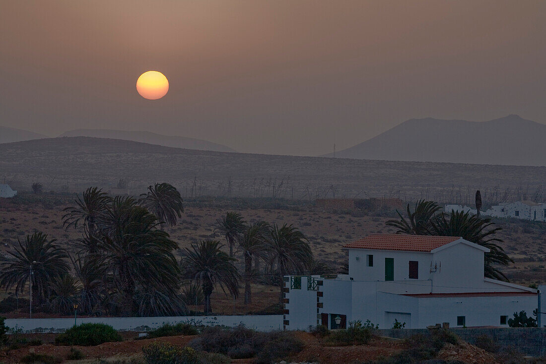 Landhaus mti Palmen bei Sonnenaufgang, Fuerteventura, Kanarische Inseln, Spanien, Europa