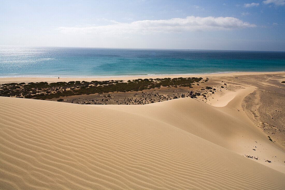 Düne am Meer im Sonnenlicht, Playa de Satovento de Jandia, Parque Natural de Jandia, Jandia Halbinsel, Fuerteventura, Kanarische Inseln, Spanien, Europa