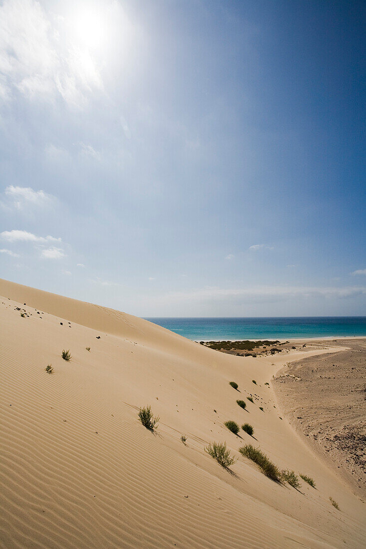 Düne am Meer im Sonnenlicht, Playa de Satovento de Jandia, Parque Natural de Jandia, Jandia Halbinsel, Fuerteventura, Kanarische Inseln, Spanien, Europa