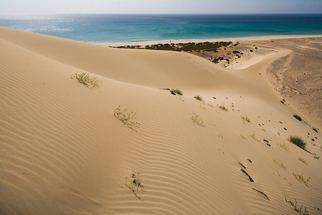 Düne am Meer im Sonnenlicht, Playa de Satovento de Jandia, Parque Natural de Jandia, Jandia Halbinsel, Fuerteventura, Kanarische Inseln, Spanien, Europa