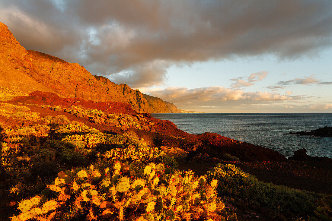 Blick über Kakteen auf die Steilküste unter Wolkenhimmel, Parque rural de Teno, Teneriffa, Kanarische Inseln, Spanien, Europa