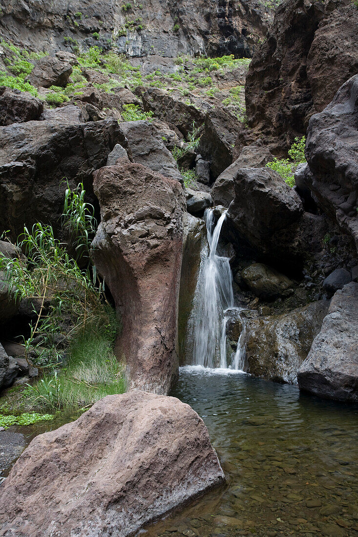 Waterfall at Masca gorge, Barranco de Masca, Parque Rural de Teno, Tenerife, Canary Islands, Spain, Europe