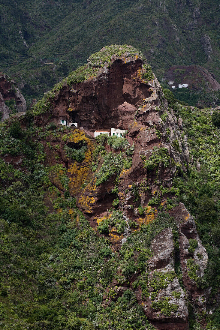 Haus in einer Höhle in einer Schlucht, Anaga Gebirge, Parque Rural de Anaga, Teneriffa, Kanarische Inseln, Spanien, Europa