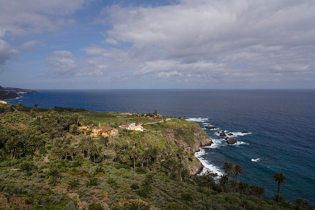 Hacienda de Castro, Landhaus inmitten Palmen an der Küste, Teneriffa, Kanarische Inseln, Spanien, Europa