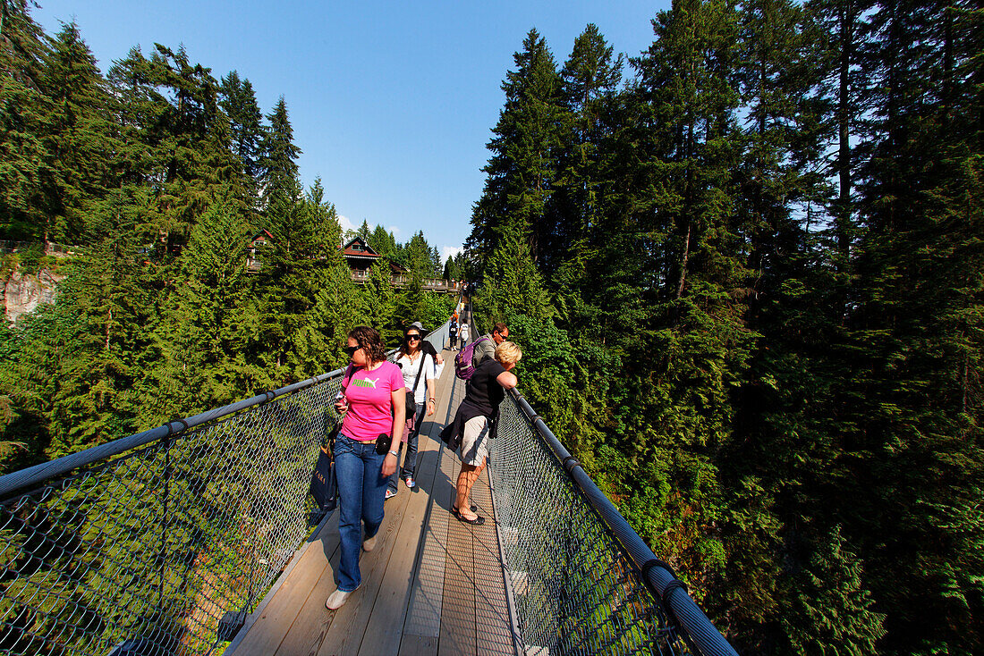 Lynn Canyon Suspension Bridge Park, Vancouver, Kanada, Britisch Kolumbien, Nordamerika