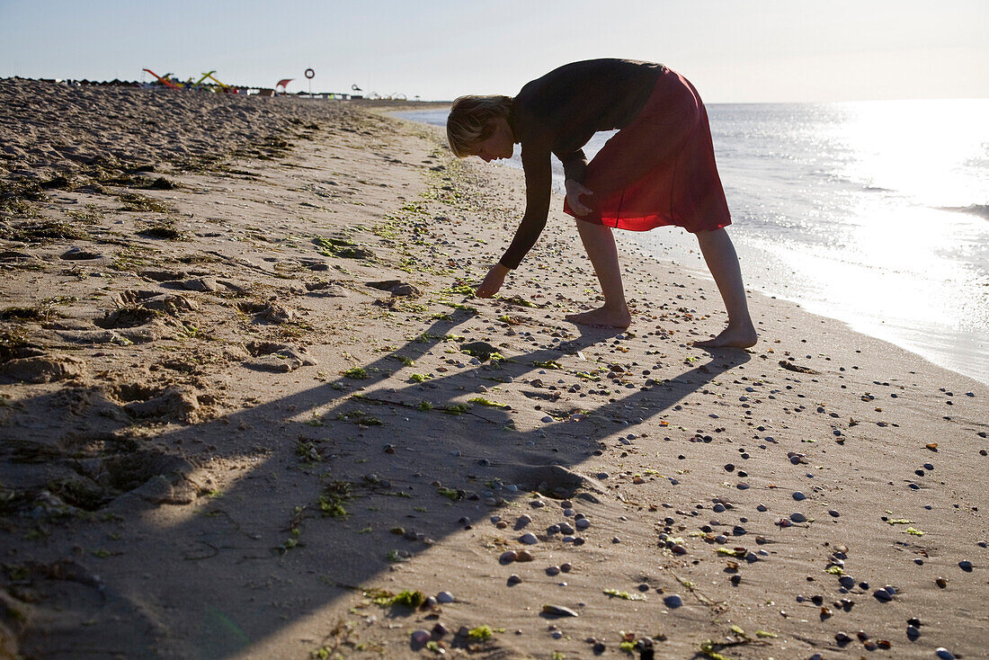 Junge Frau sammelt Muscheln im Morgenlicht, Strand auf der Insel Ilha de Tavira, MR, Tavira, Algarve, Portugal