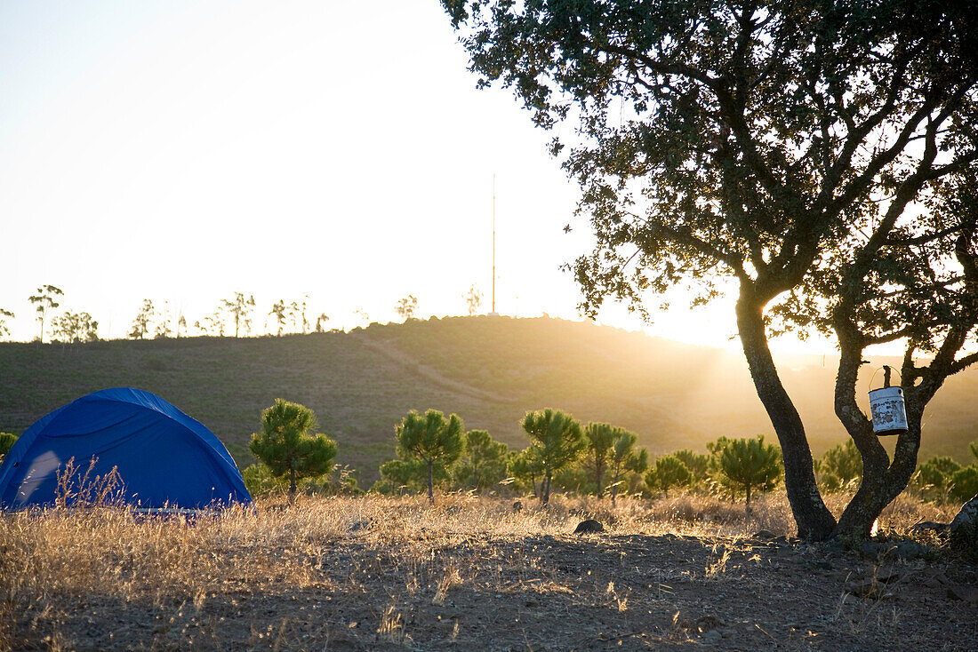 Zelten im Hinterland von Alcoutim, Zelt und Baum mit Morgensonne, in Portugal ist freies zelten erlaubt, Alcoutim,  Algarve, Portugal