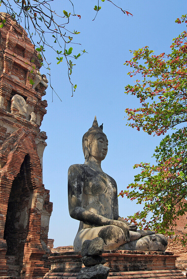 Buddha in front of prang, Ayutthaya, Wat Mahatat, Thailand, Asia