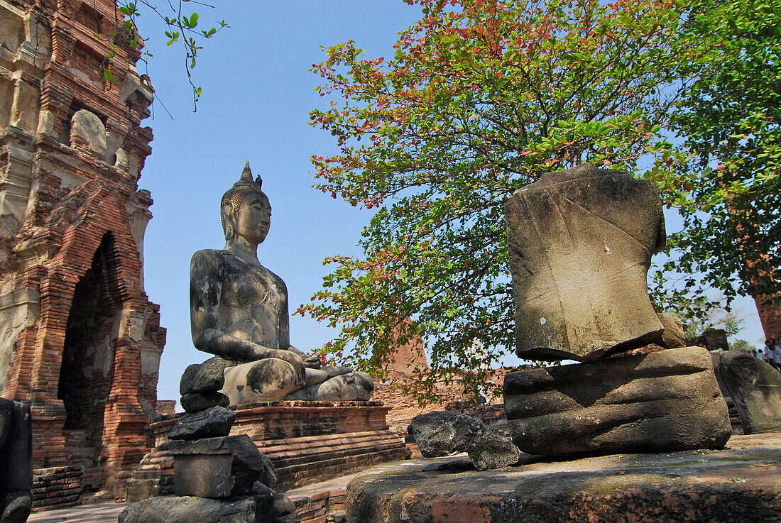 Buddha in front of prang, Wat Mahatat, Ayutthaya, Thailand, Asia