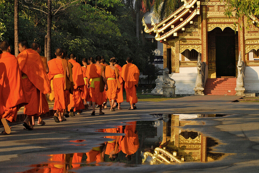 Mönche bzw Novizen am Morgen, Wat Phra Sing, Chiang Mai, Thailand, Asien