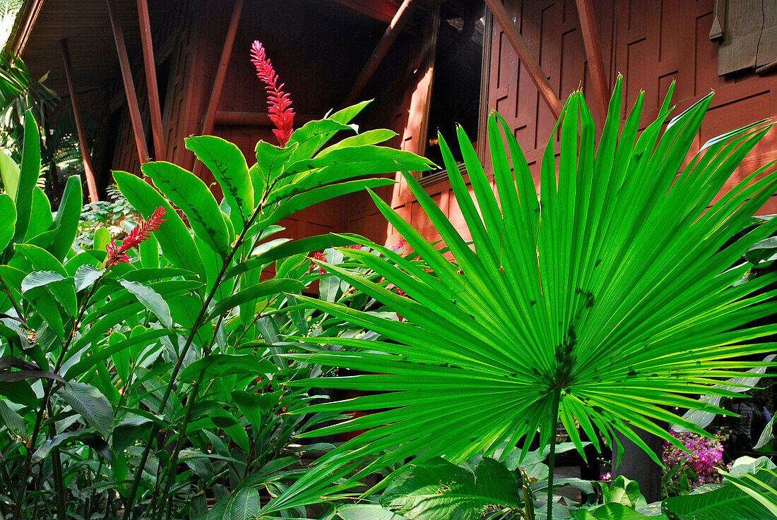 Pflanzen im Garten des Jim Thompson House, Museum, Bangkok, Thailand, Asien